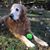 Susan Howland's profile image