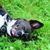 Marni Schroeder's profile image