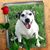 Sherry Genae Millitello's profile image