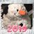 Sara Frankfather-Meeker's profile image