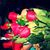 Rosi Aguilera's profile image