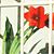 Lisa S. McGuire's profile image