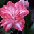 Noelia Rivera's profile image