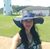 Palavi Johnston's profile image
