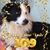 Sue Kosegi Haney's profile image