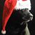 Angie Eyler's profile image