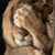 Heidi D Taube's profile image