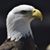 Lalita Creighton's profile image