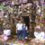Beena Nair's profile image