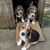 Patricia Gregory Sowell's profile image