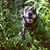 Wendy Hoover's profile image