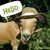 Melvin Sweet's profile image
