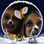 Cathie Smith's profile image