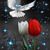 Sarita Lafont's profile image