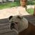 Cindy Merritt's profile image