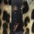 Shannon Robbins Gildwarg's profile image