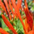 DANNA B.'s profile image