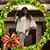 Maria Jones's profile image