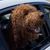 Carl Haupt's profile image