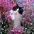 Bernice S Hurysz's profile image