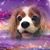 Yoshiko Onda's profile image