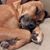 Clarice Recchia's profile image