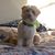 Cynthia Stern Mckeough's profile image