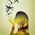 Sara Catherine Haase's profile image