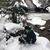 Lori A. Bushey's profile image