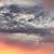 Debra Ray's profile image
