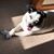 Beth Quint McHugh's profile image