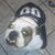 Zoey Rivera's profile image