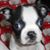 Kathy Mertz Beyer's profile image