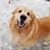 Emily Ryan-Kaltenbach's profile image