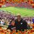 Shelley Draeger's profile image