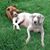Christie Ray Sherrill's profile image