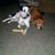 Geralyn Kowalski's profile image