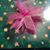 Laura Mitchell's profile image