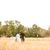 Rachel Totani-Brown's profile image