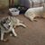 Sue Bode Huskey's profile image