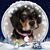 Ann McDonald's profile image