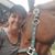 Gina Snyder Hill's profile image