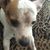Mary Boykin's profile image
