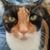 Cathy Medina's profile image