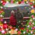 Amber Latham's profile image