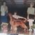 Sue Melancon Klein's profile image