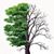 Joan Moericke's profile image