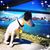 Paolo Dal Gallo's profile image