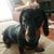 Bonnie Stombaugh's profile image