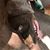 Tony Gasparini's profile image